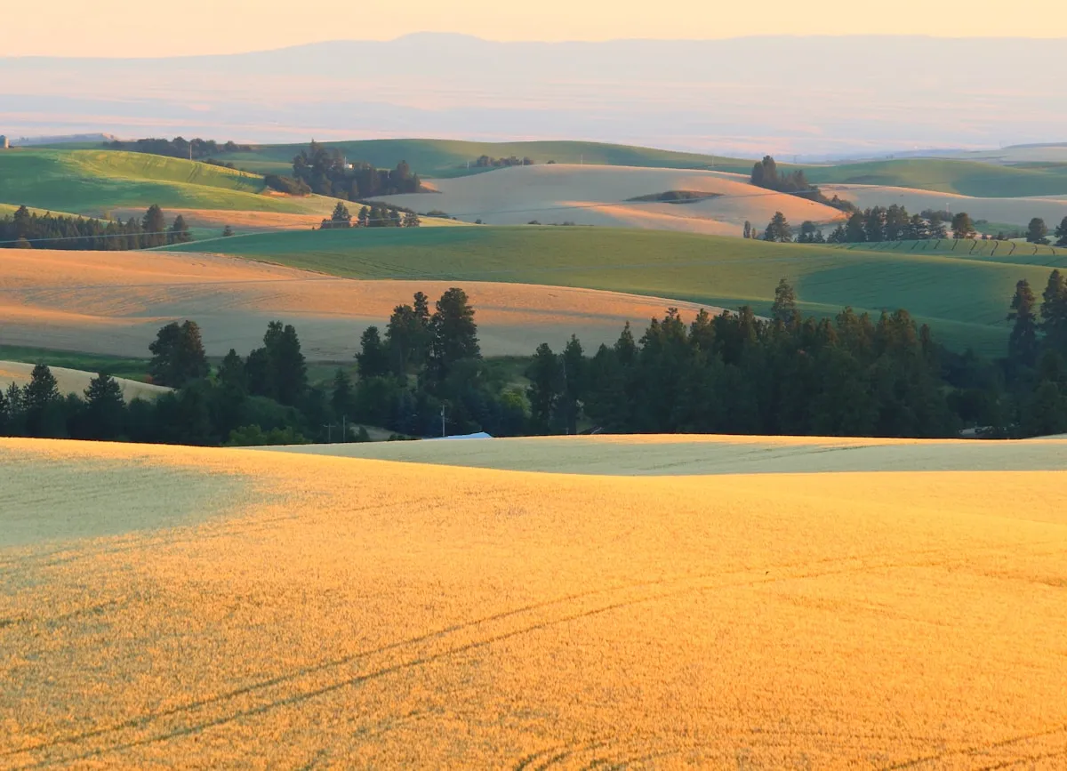 Golden farmland and rolling hills in Idaho